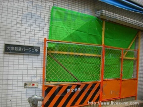 大宗若葉
