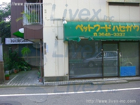 長谷川