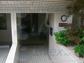 ANNEX倉石