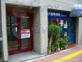 ルート小石川