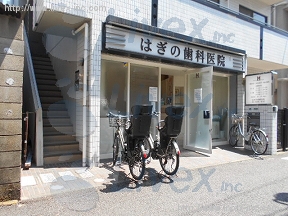 松野