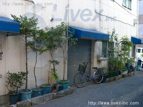 枻川