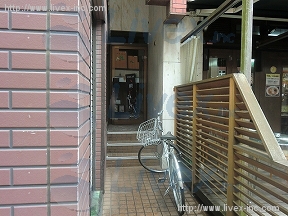 小高