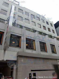 正隆銀座ビル