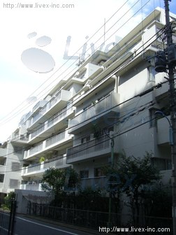 藤和湯島ビル