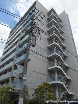 能登プロビル