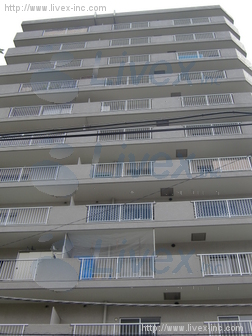 ドルミ錦糸町長谷川ビル