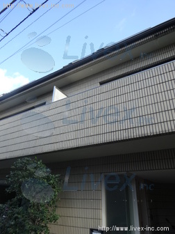 テラス三栄町ビル
