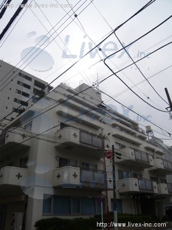 ルシール南大塚ビル