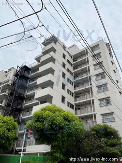 ライオンズ上野毛 A棟ビル