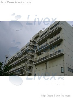 VIP扇橋A館ビル