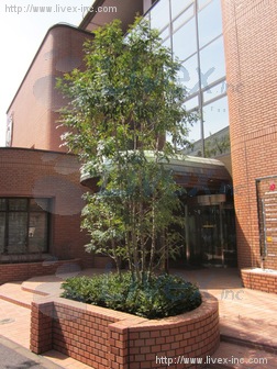 テックスクエア