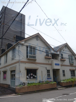 コートグレイス