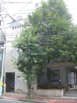 プエルタ松涛ビル
