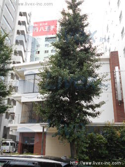 東亜ビル