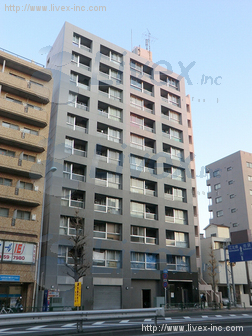 グローバリービューテラスビル