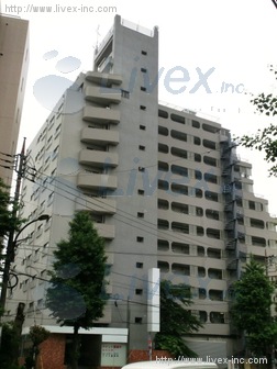パシフィック自由が丘(P・自由が丘)ビル