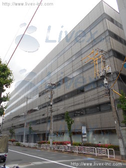 長谷萬門前仲町ビル