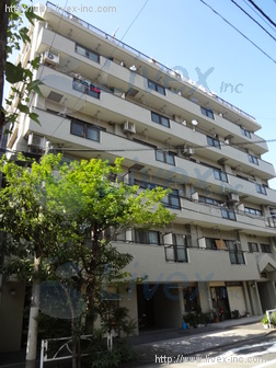 ハイシティ両国