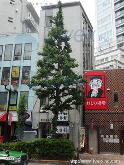 平井6丁目戸建ビル