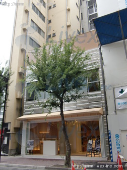 銀座7丁目ビル