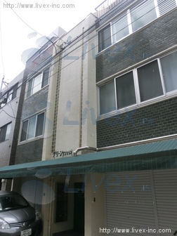 グリーンマンションビル
