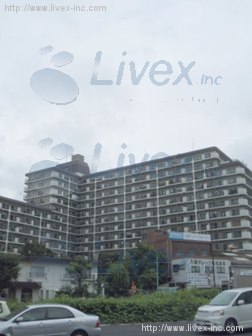 日商岩井亀戸マンションビル