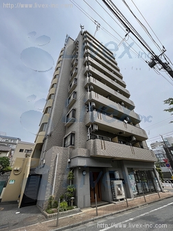 エルファーロ タジマビル