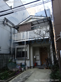 ストロービル