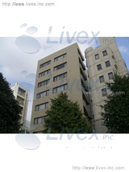 白山高柳ビル