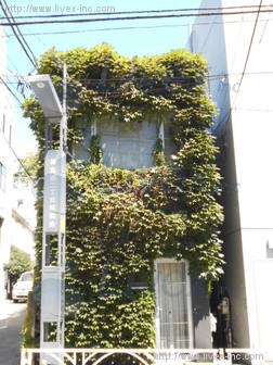神宮前2丁目戸建ビル