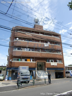 富士見町スカイマンションビル