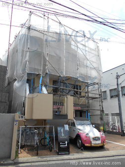 シナモンオークビル
