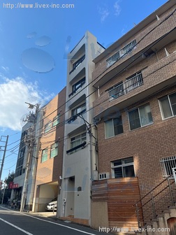 ホシノビル