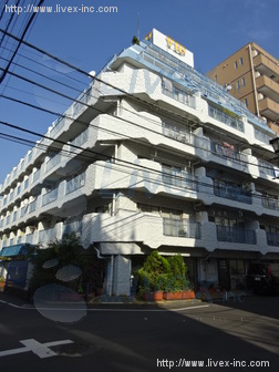 マンションVIP新宿柏木ビル