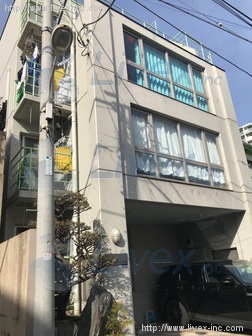 パインツリーランドビル