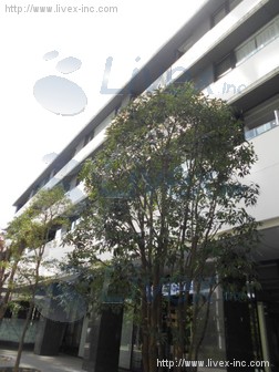 コンフォリア新宿イーストサイドタワー アネックス棟