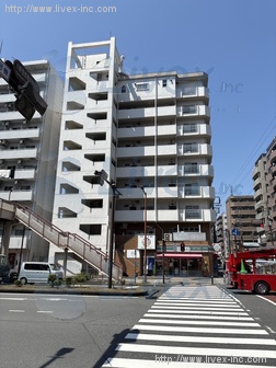 スプリングハイツ