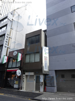 長谷川氷室新橋ビル