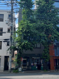 弥生マンション目白台ビル
