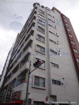 モナーク千駄木ビル