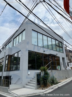 Zet Jingumae