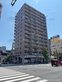 ダイアパレスプロミネントコート川崎