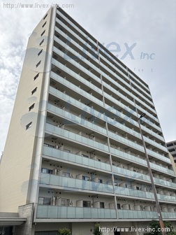 レスピール川崎ビル