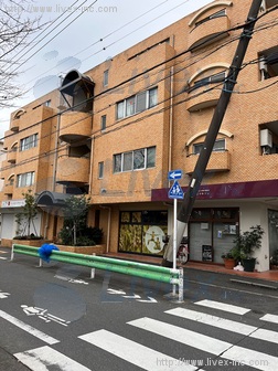 クレードル池上ビル