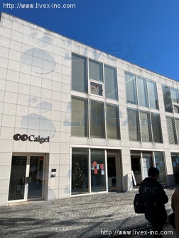 MOGAビル
