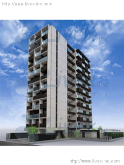 プレミアムフラットひばりヶ丘駅前ビル