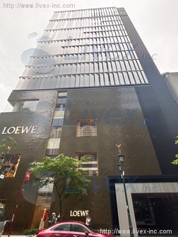 仮)清和銀座ビル