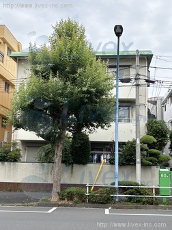 高田馬場4丁目1階店舗