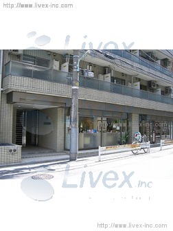 井ビル